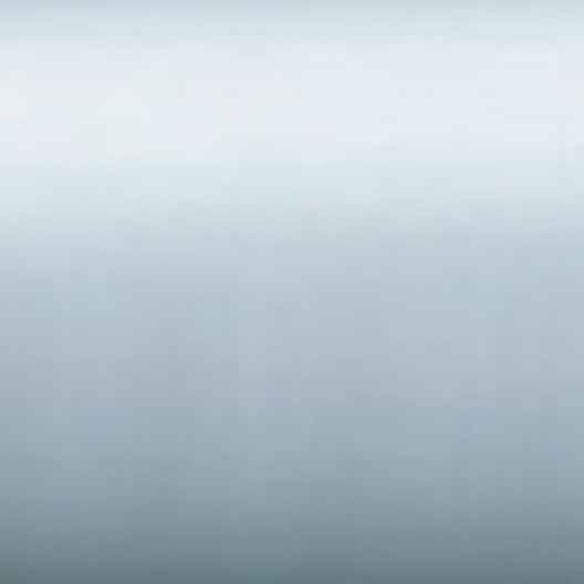 Матовый Silver