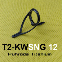 T2-KWSNG 12