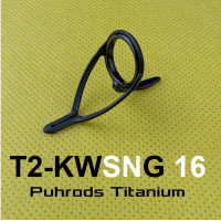 T2-KWSNG 16