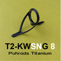 T2-KWSNG 8