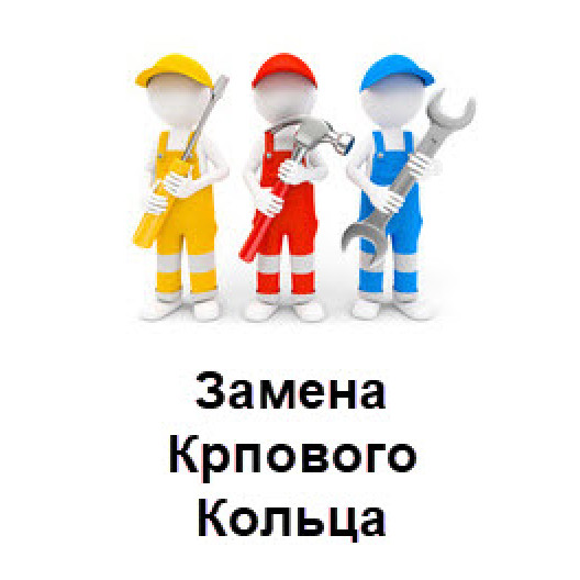 Заміна карпового кільця